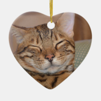 Smiling Bengal Ceramic Tree Decoration