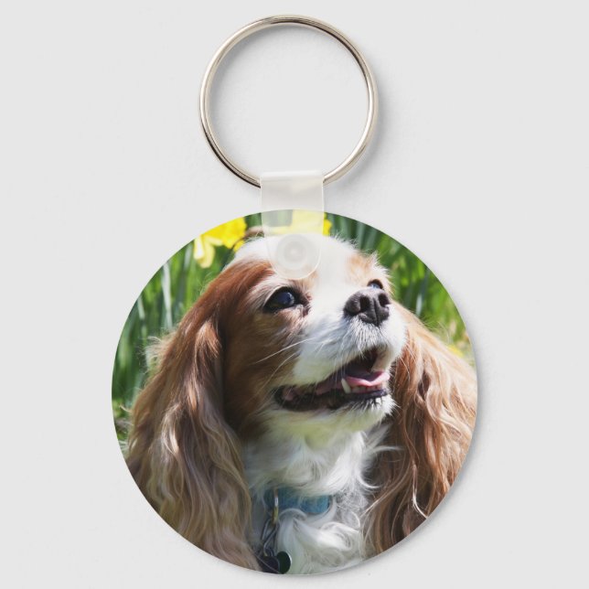 Smiling Blenheim Cavalier King Charles Spaniel Key Ring (Front)