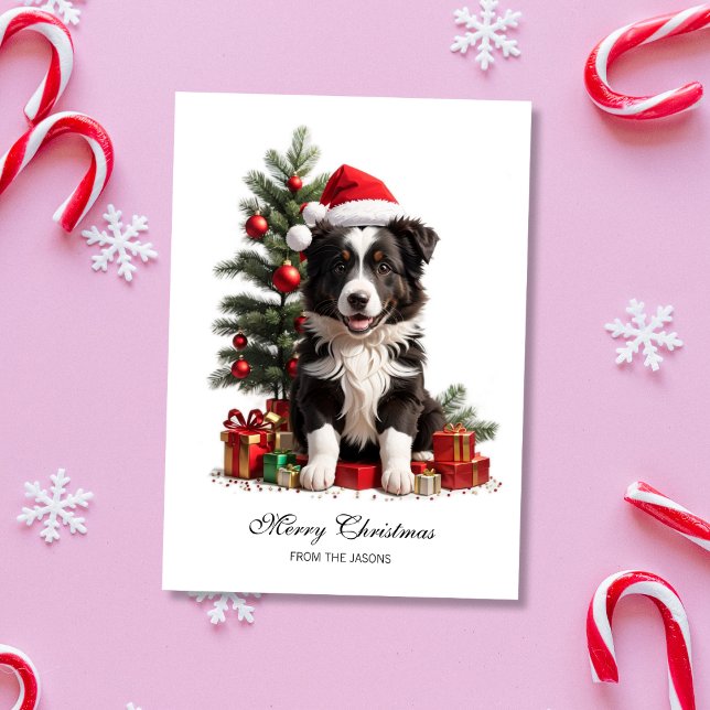 Smiling Border Collie Christmas Puppy Personalised Holiday Card (Smiling Border Collie Christmas Puppy Holiday Card)