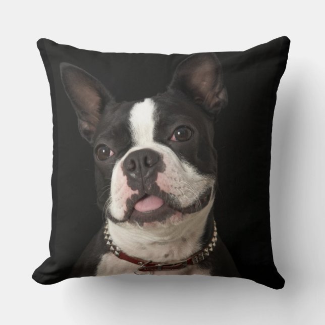 Smiling Boston terrier with collar Cushion (Front)