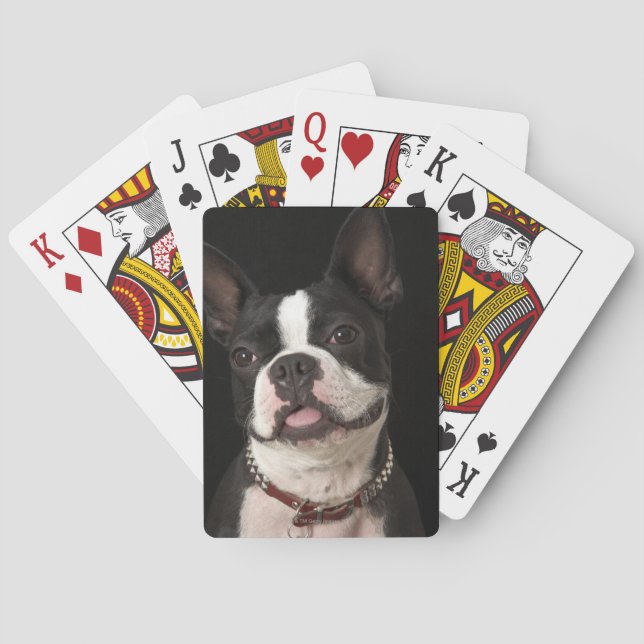 Smiling Boston terrier with collar Playing Cards (Back)