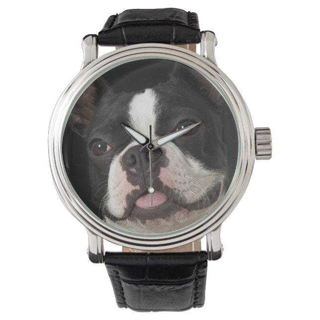 Smiling Boston terrier with collar Watch (Front)