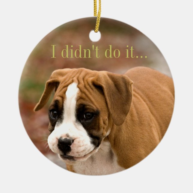 Smiling Boxer Dog Car or Tree Ornament (Front)