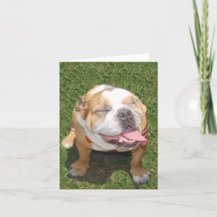 Smiling Bulldog Card