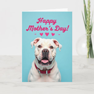 Smiling Bulldog Mothers Day Card