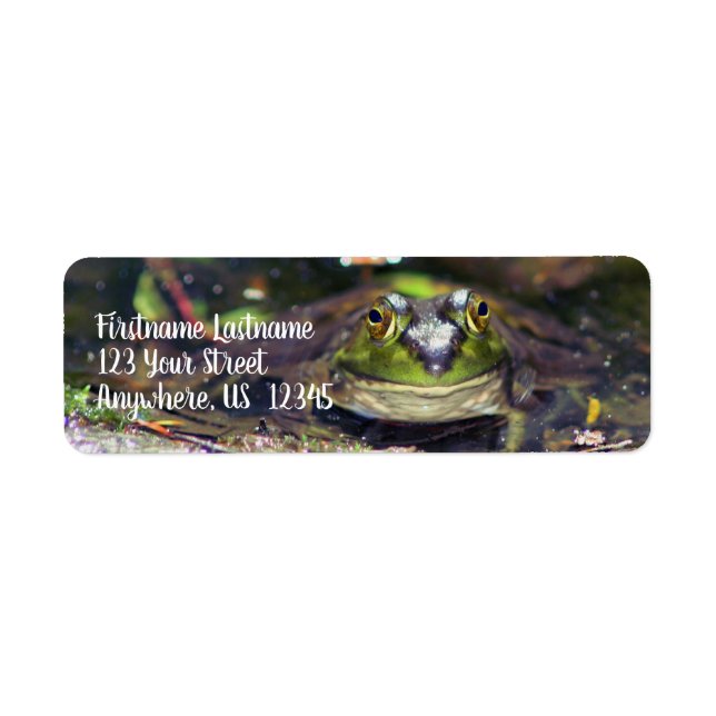 Smiling Bullfrog Animal Address (Front)