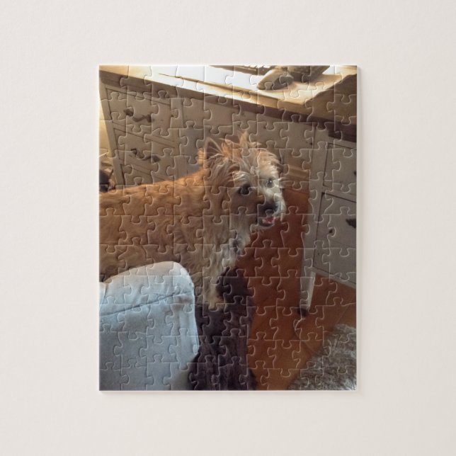 Smiling Cairn Terrier Jigsaw Puzzle (Vertical)