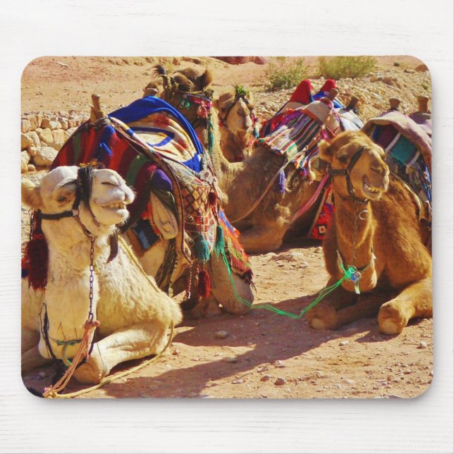 Smiling Camels Mouse Mat (Front)