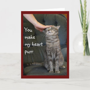 Smiling Cat Being Petted Holiday Card