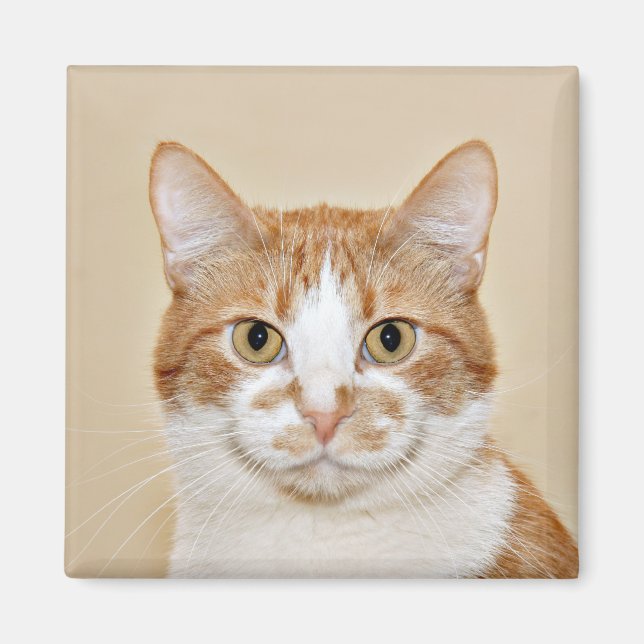 Smiling cat magnet (Front)