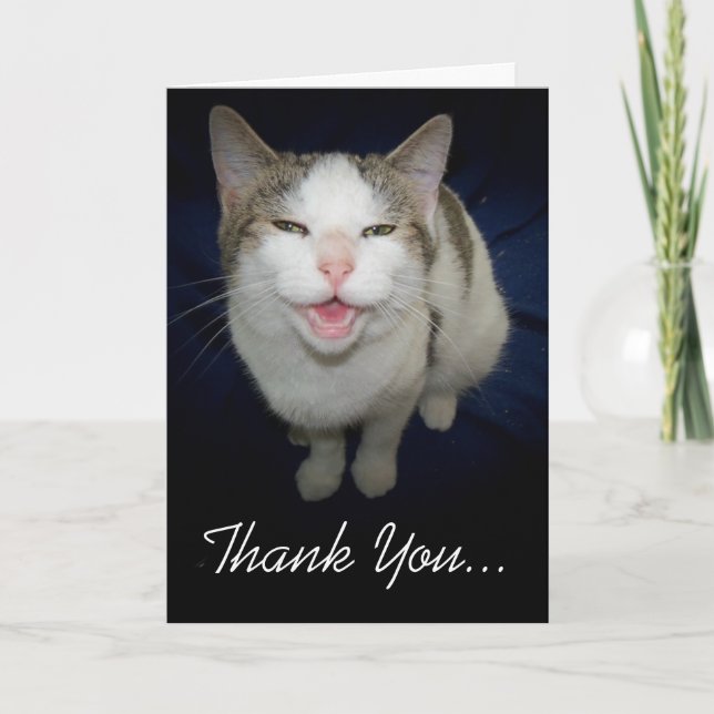 Smiling Cat Thank You Card (Front)