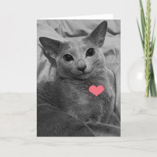 Smiling Cat Valentine Card