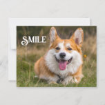 Smiling Corgi Dog Funny Animal Smile Postcard<br><div class="desc">Smiling Corgi Dog Funny Animal Smile Design</div>