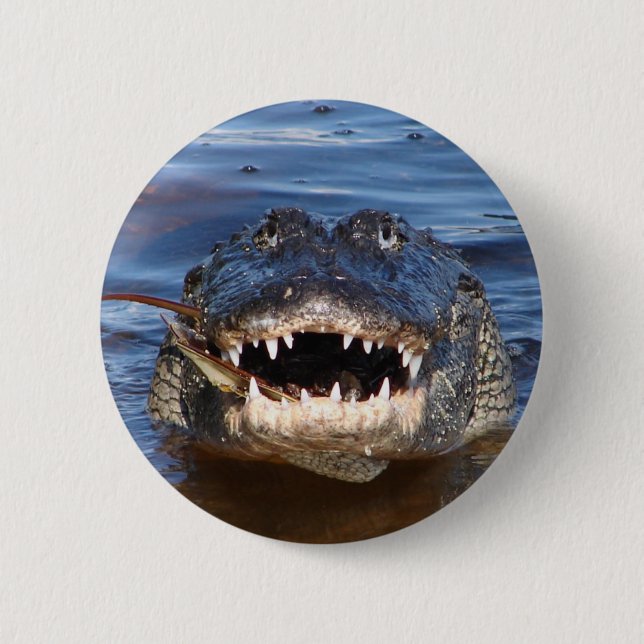 Smiling Crocodile 6 Cm Round Badge (Front)