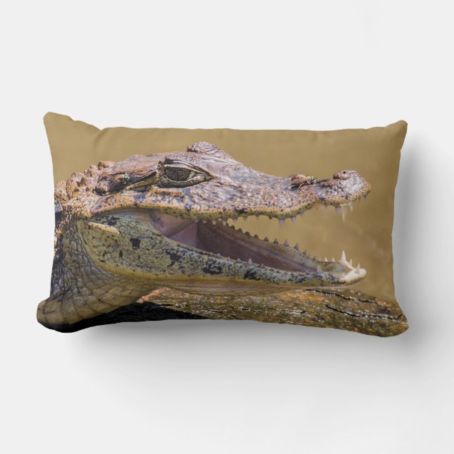 Smiling crocodile in Tortuguero - Costa Rica Lumbar Cushion (Front)