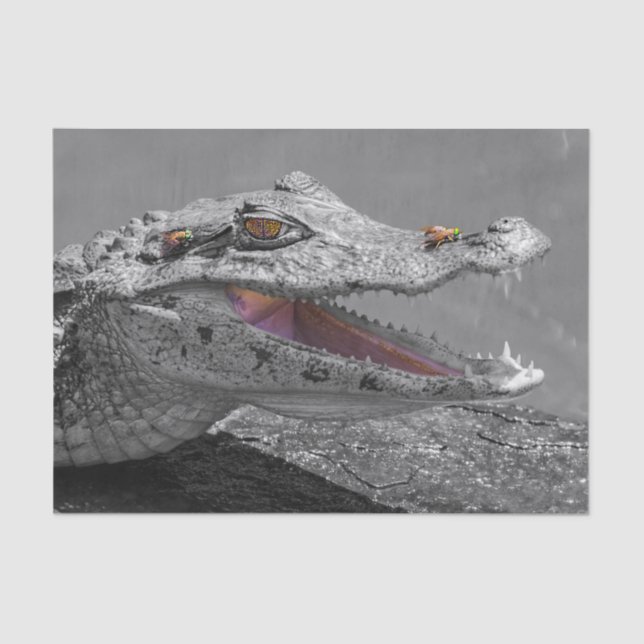 Smiling crocodile in Tortuguero - Costa Rica Tissue Paper (Front)