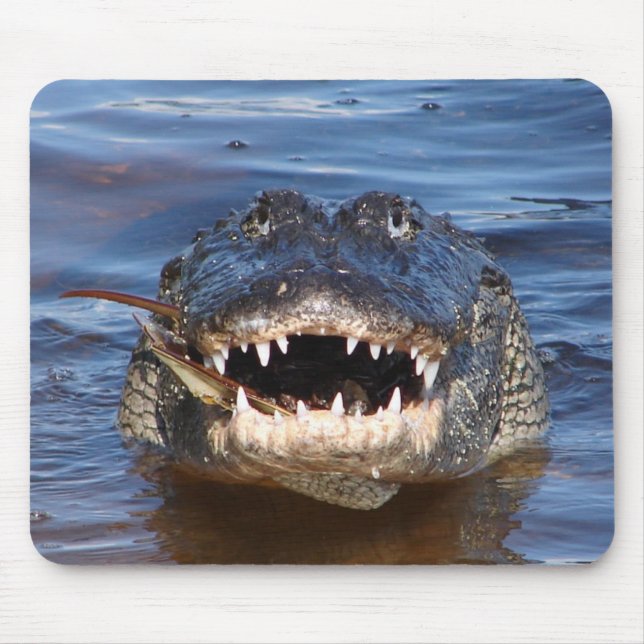 Smiling Crocodile Mouse Mat (Front)