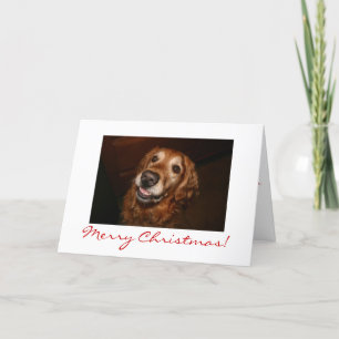 Smiling dog Merry Christmas Holiday Card