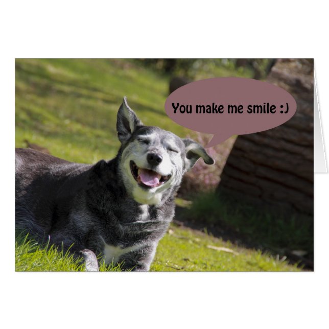 Smiling dog "you make me smile" Humour card (Front Horizontal)