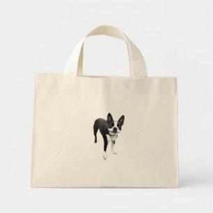 smiling doggie bag