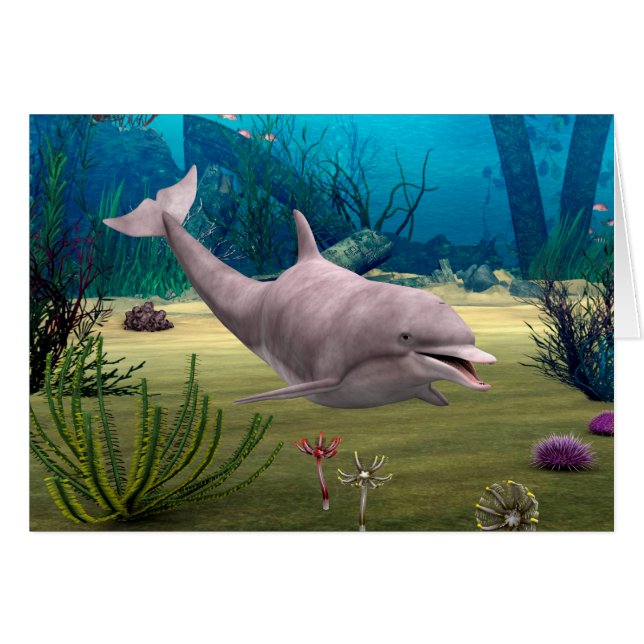 Smiling Dolphin (Front Horizontal)