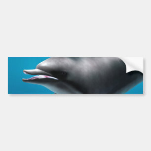 Smiling Dolphin Bumper Sticker