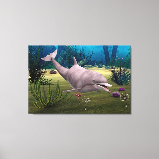 Smiling Dolphin Canvas Print (Front)