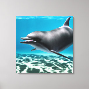 Smiling Dolphin Canvas Print