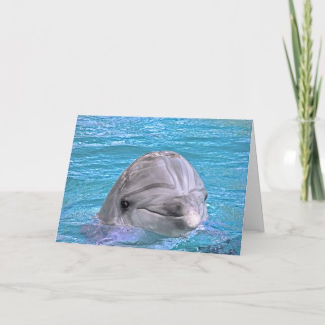 Smiling Dolphin Card (Front)