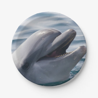 Smiling Dolphin Close‑Up in Bright Blue Water Paper Plate