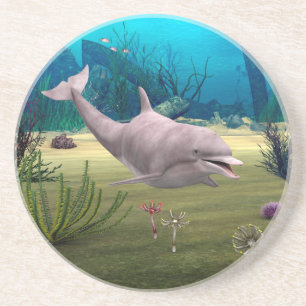 Smiling Dolphin Coaster