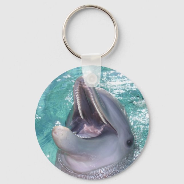 Smiling Dolphin Keychain (Front)