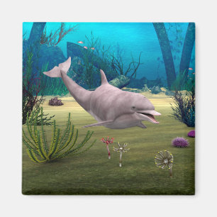 Smiling Dolphin Magnet