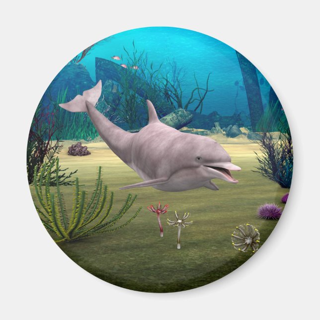 Smiling Dolphin Magnet (Front)