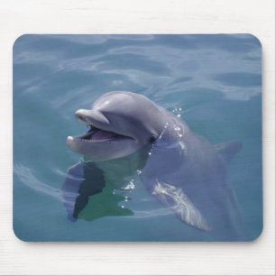 Smiling Dolphin Mouse Mat
