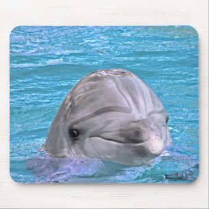 Smiling Dolphin Mouse Mat