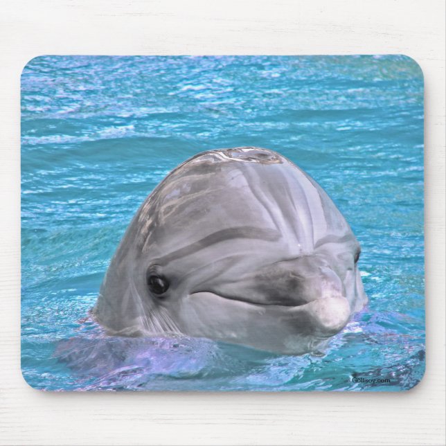 Smiling Dolphin Mouse Mat (Front)