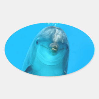 Smiling Dolphin Oval Sticker