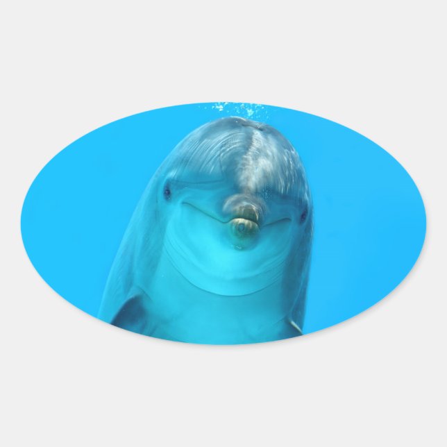 Smiling Dolphin Oval Sticker (Front)