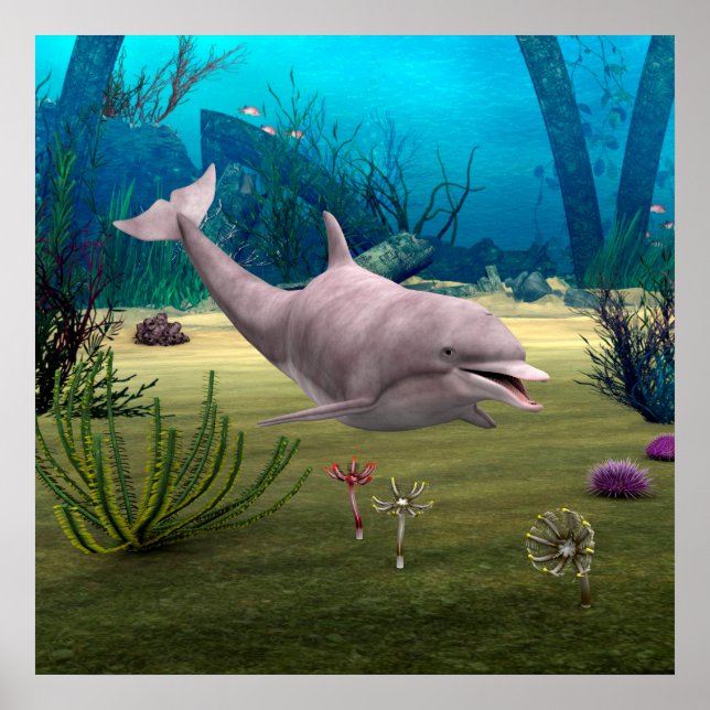 Smiling Dolphin Poster (Front)