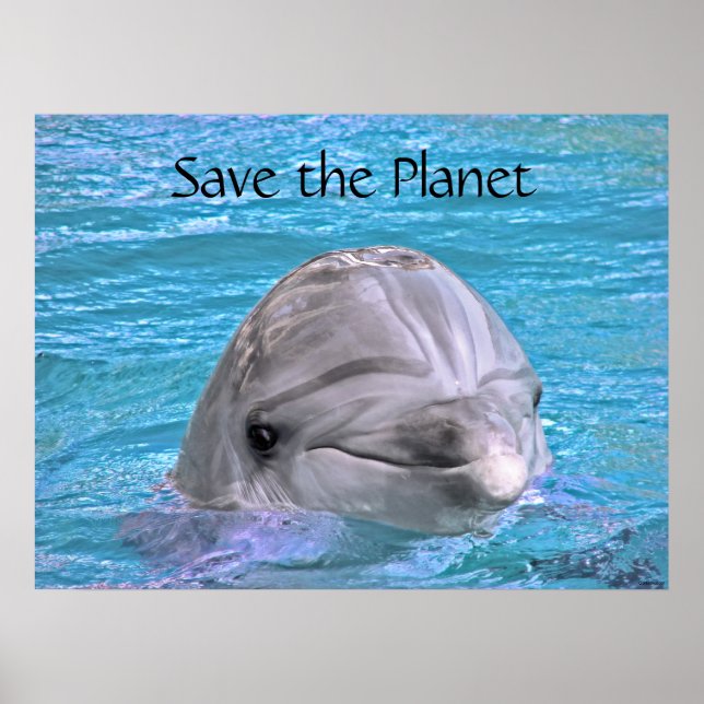 Smiling Dolphin - Save the Planet Poster (Front)