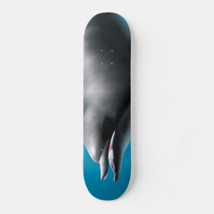 Smiling Dolphin Skateboard