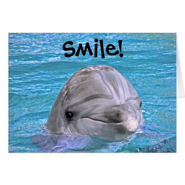 Smiling Dolphin - Smile! (Front Horizontal)