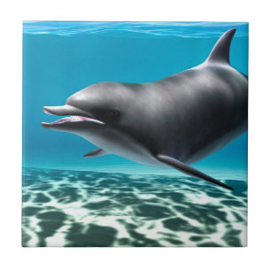 Smiling Dolphin Tile