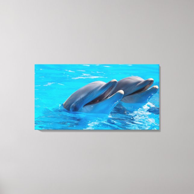 Smiling Dolphins Canvas Print (Front)
