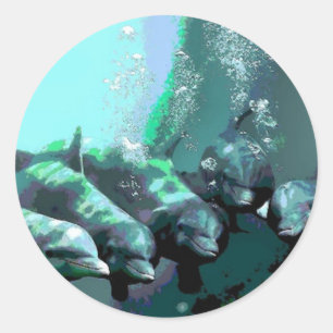 Smiling Dolphins Classic Round Sticker