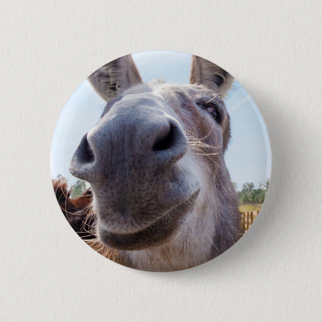 Smiling Donkey 6 Cm Round Badge (Front)