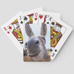 Smiling Donkey Bicycle with Silly Grin on His Face Playing Cards