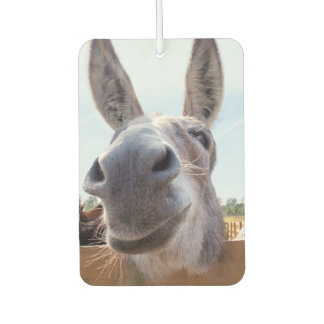 Smiling Donkey Car Air Freshener