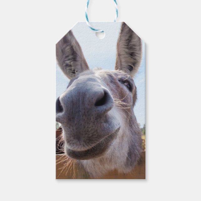 Smiling Donkey Gift Tag (Front)